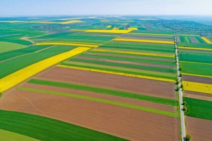 Cum a ajuns pământul agricol din România mai scump decât în Franța