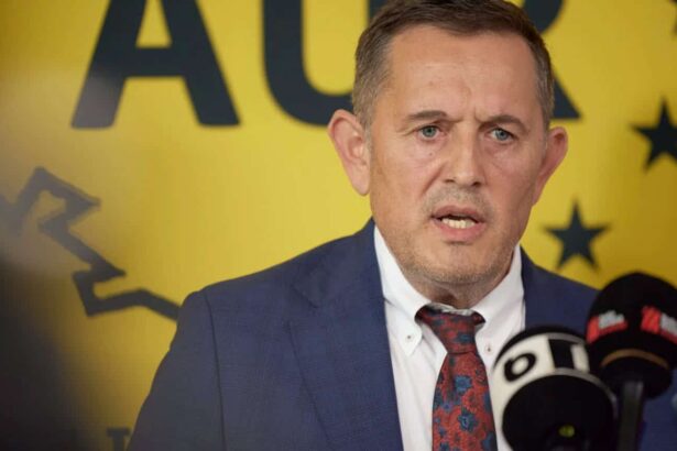 Cine face jocurile Kremlinului la București!? Avocatul prorus de la AUR, Gheorghe Piperea, vrea să blocheze contractele strategice cu Rheinmetall