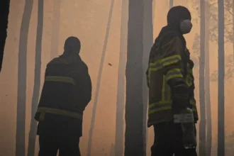 Ziua 1535 Trump anunță un armistițiu de trei zile și un schimb de câte 1.000 de prizonieri. Arde la Cernobîl (Video). Putin e gata să discute cu UE. Zelenski a mers pe front