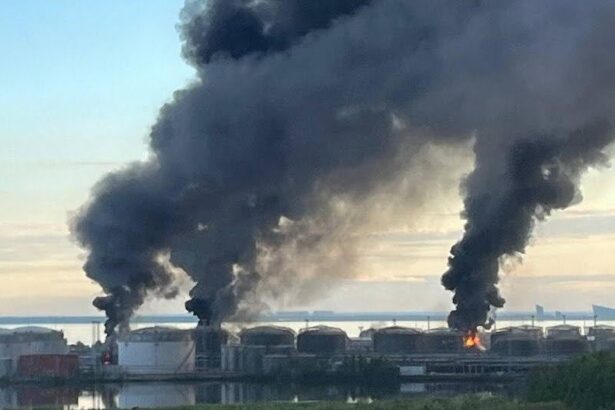 Ziua 1561 Arde cel mai mare terminal petrolier din Rusia și o uzină militară (Video) Lovituri la Sankt Petersburg, înainte de Davosul lui Putin. Mark Rutte, în vizită surpriză la Kiev