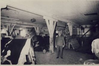 Progres și comerț în România Mare a anului 1922