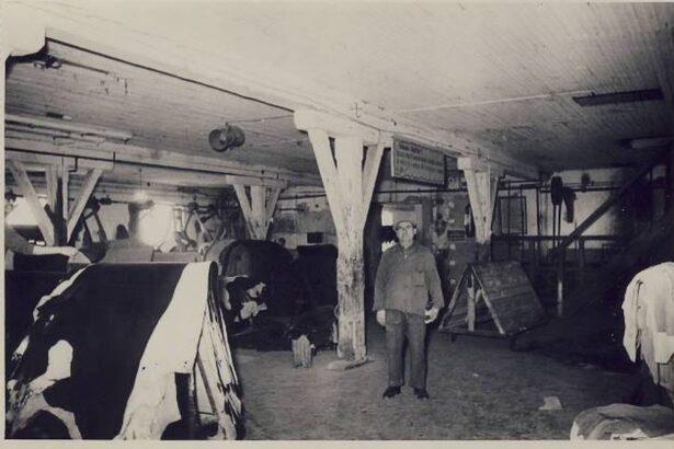 Progres și comerț în România Mare a anului 1922