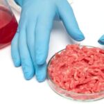 România pornește un război total împotriva cărnii cultivate în laborator și vrea să blocheze definitiv alimentele de eprubetă în toate magazinele
