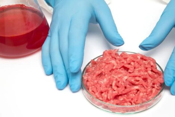 România pornește un război total împotriva cărnii cultivate în laborator și vrea să blocheze definitiv alimentele de eprubetă în toate magazinele