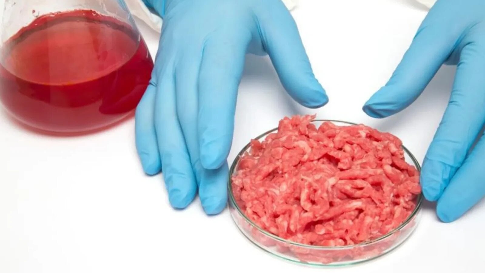 România pornește un război total împotriva cărnii cultivate în laborator și vrea să blocheze definitiv alimentele de eprubetă în toate magazinele