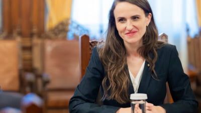 Oana Țoiu cere o investiție suplimentară pentru protejarea flancului estic al NATO