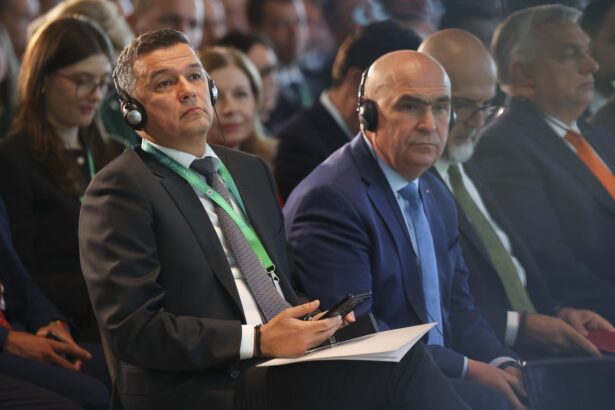 Lider PNL: Instanța a anulat decizia PNL de a nu face coaliție cu PSD