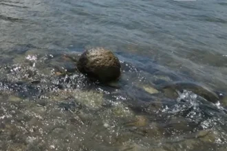 Dunărea a secat atât de mult încât au început să vină la suprafață obiecte foarte vechi: Un proiectil medieval, ba chiar și fosilele unui mamut lânos