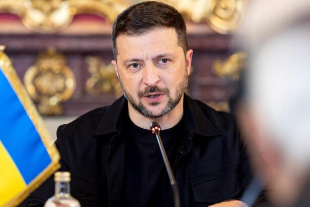 Ministrul demis al apărării din Ucraina cere organizarea de alegeri în timp de război