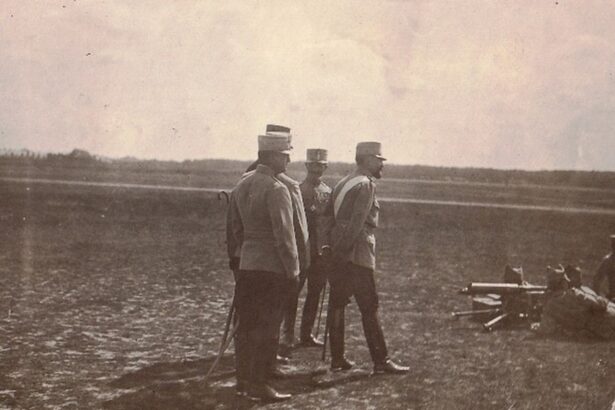 România în pragul Marelui Război. Societate, opinie publică și pregătiri militare (1914-1916)