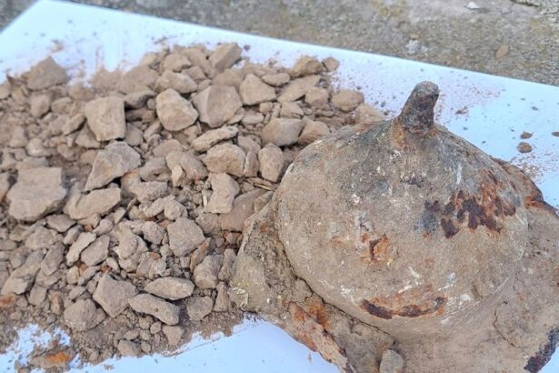 Un scut vechi de 1.800 de ani, care ascundea rămășițele unui războinic vandal, descoperit într-un depozit de fier vechi